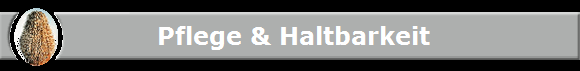 Pflege & Haltbarkeit