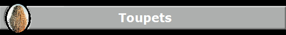 Toupets